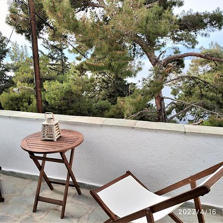 Pine Trees And Sea View Houses In Hydra - Daphne, Chloe, Myrto, Eleni Oda fotoğraf