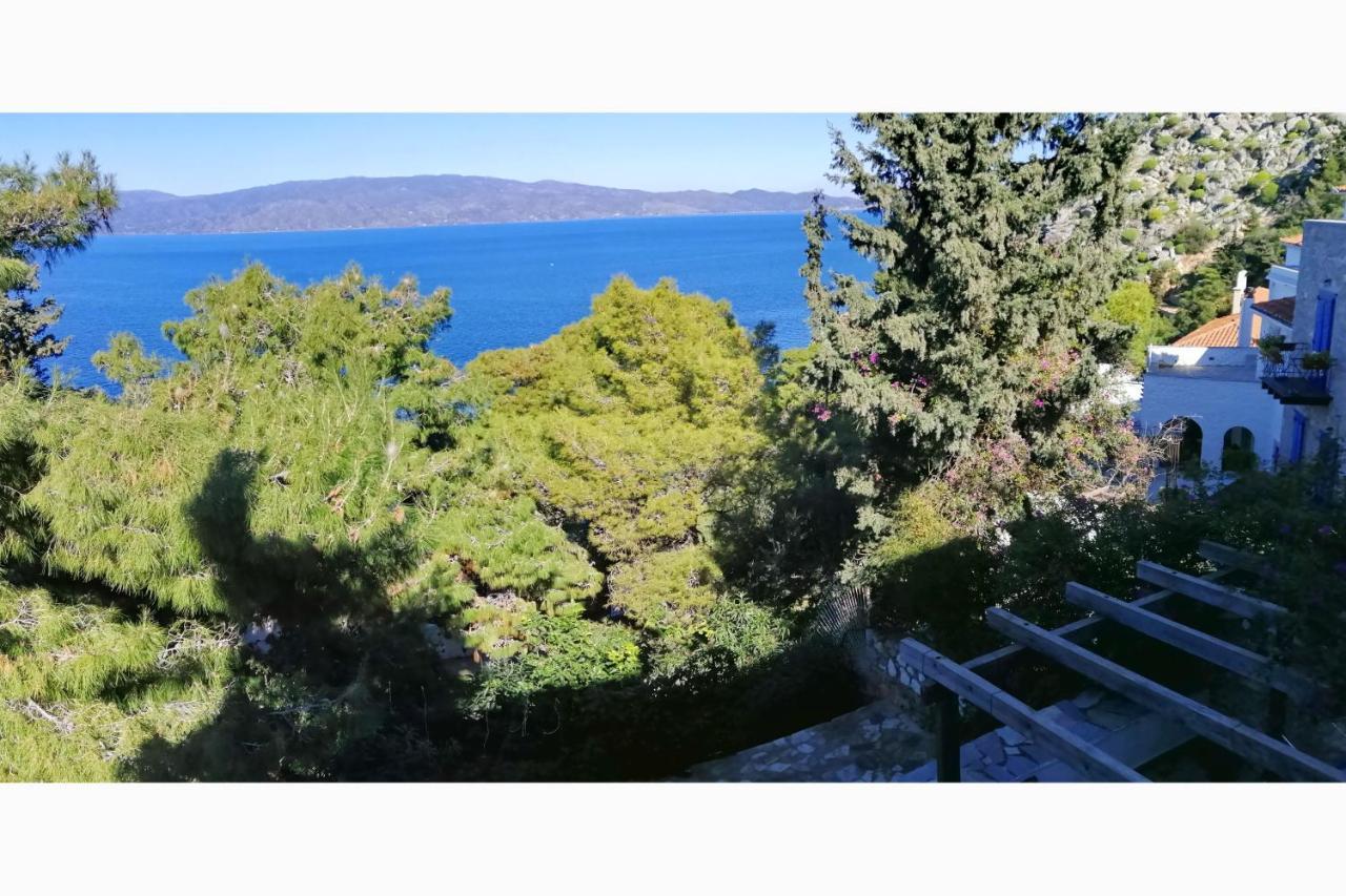 Pine Trees And Sea View Houses In Hydra - Daphne, Chloe, Myrto, Eleni Dış mekan fotoğraf