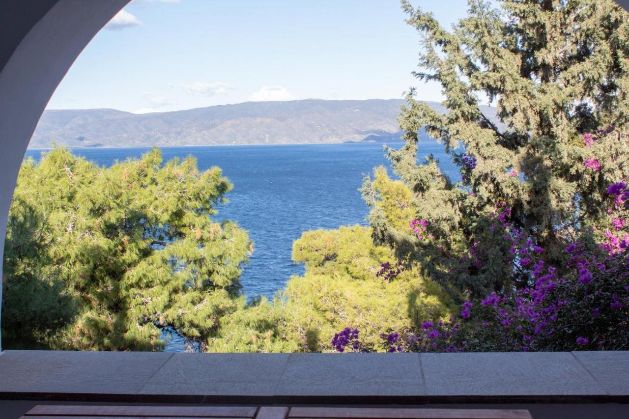 Pine Trees And Sea View Houses In Hydra - Daphne, Chloe, Myrto, Eleni Dış mekan fotoğraf