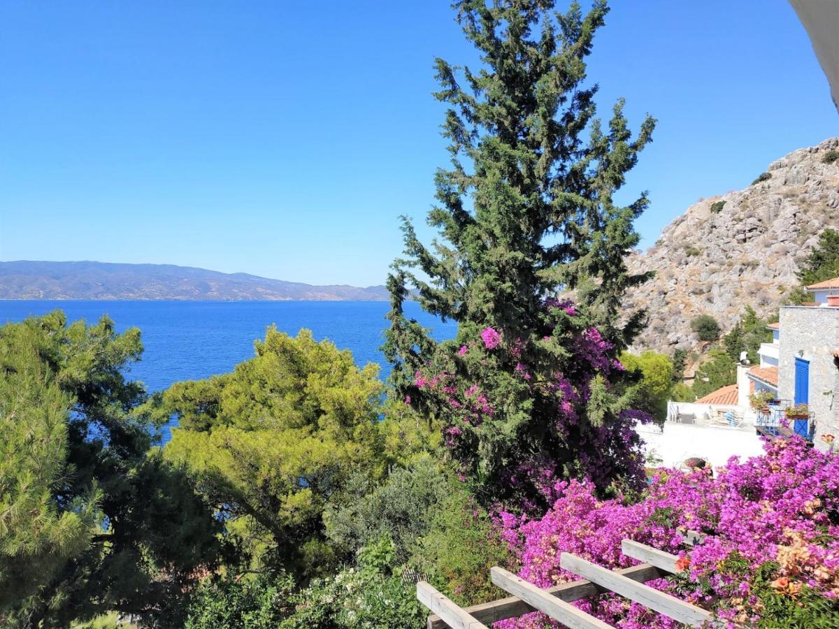 Pine Trees And Sea View Houses In Hydra - Daphne, Chloe, Myrto, Eleni Dış mekan fotoğraf