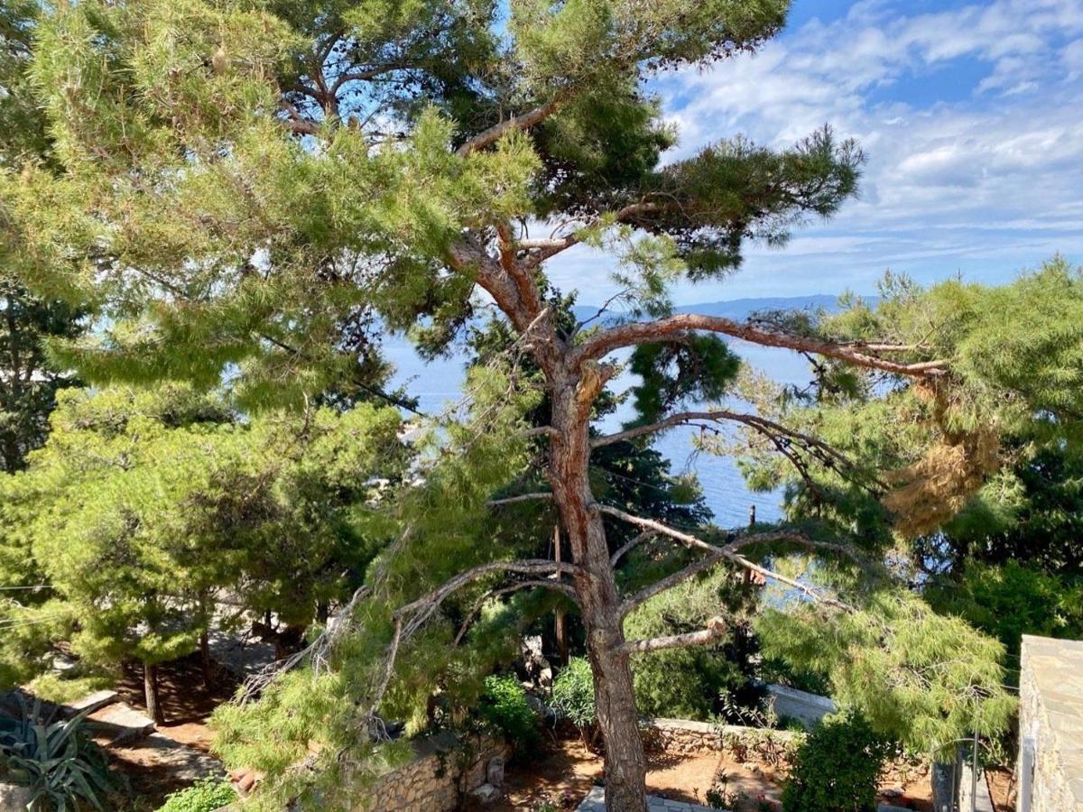 Pine Trees And Sea View Houses In Hydra - Daphne, Chloe, Myrto, Eleni Dış mekan fotoğraf
