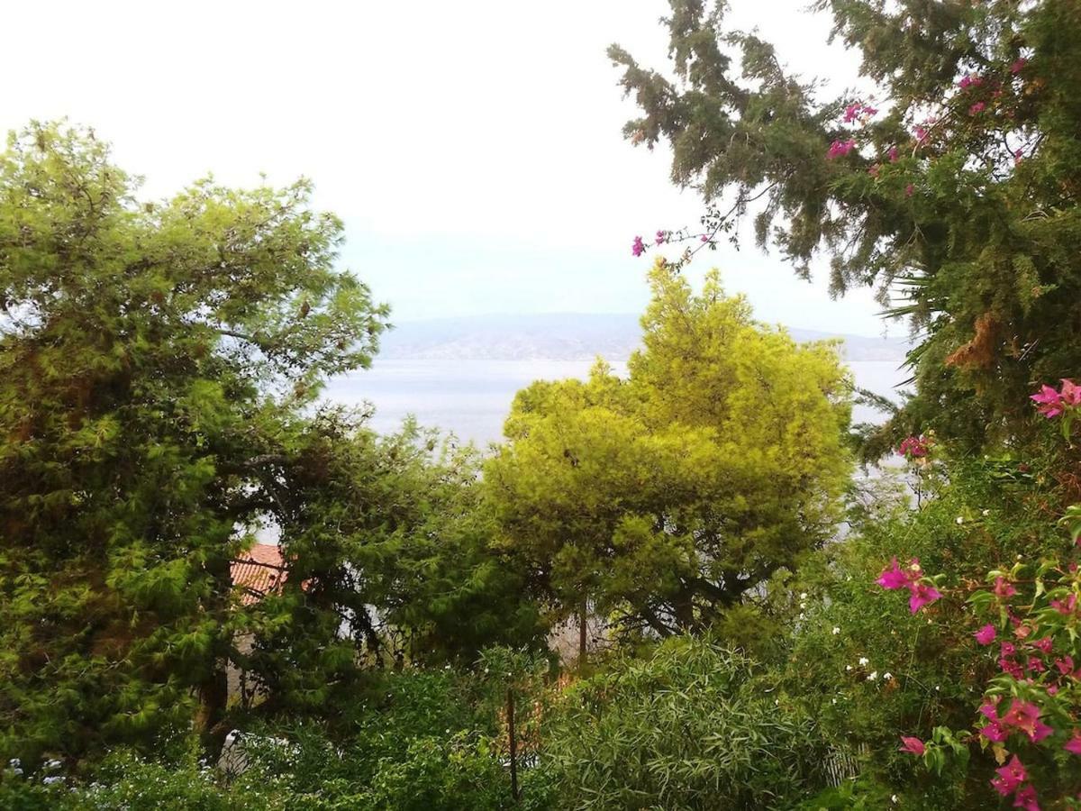 Pine Trees And Sea View Houses In Hydra - Daphne, Chloe, Myrto, Eleni Dış mekan fotoğraf