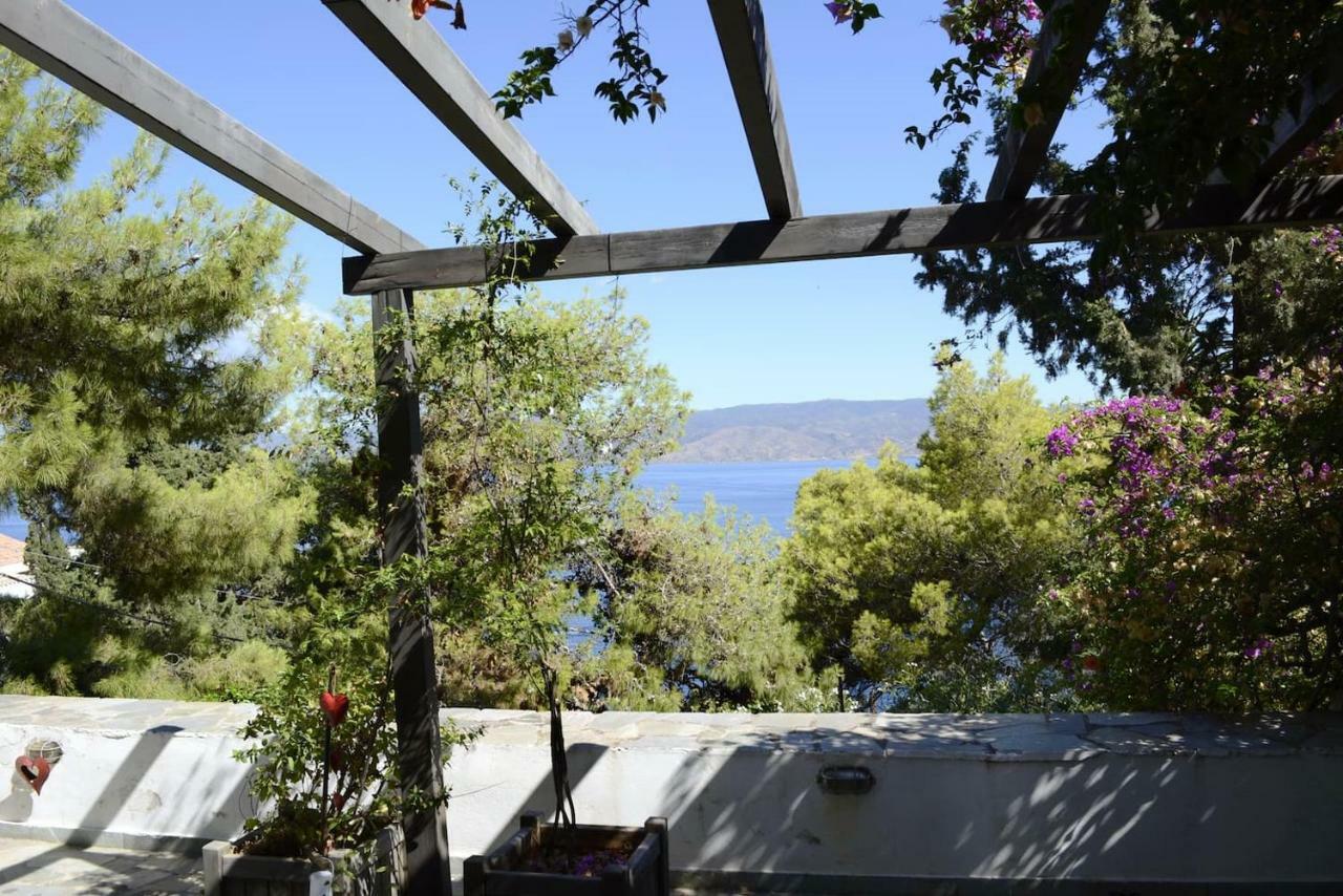 Pine Trees And Sea View Houses In Hydra - Daphne, Chloe, Myrto, Eleni Dış mekan fotoğraf
